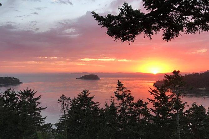 Sunset Canopy Climb on Lopez Island - Key details before you book