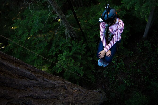 Sunset Canopy Climb on Lopez Island - Climbing 200 feet into the canopy