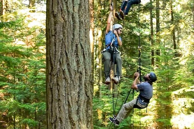 Sunset Canopy Climb on Lopez Island - What the $199 price really covers