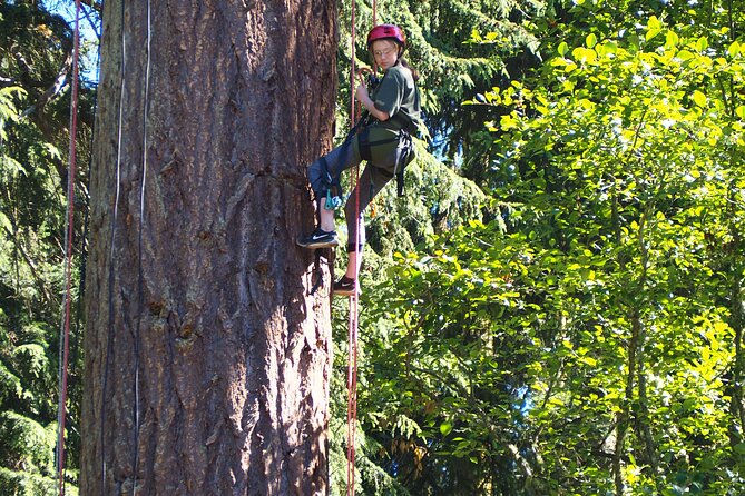 Sunset Canopy Climb on Lopez Island - Who will enjoy this most