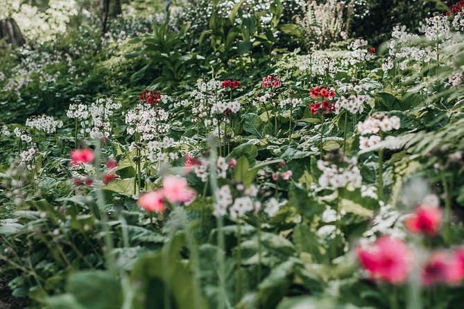 The Bloedel Reserve & Sightseeing - What the private format adds