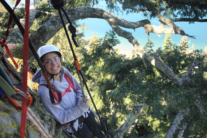 Tree Canopy Climbing on Lopez Island - Key points about climbing above Lopez Island