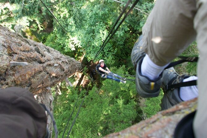 Tree Canopy Climbing on Lopez Island - What makes this Lopez Island activity different