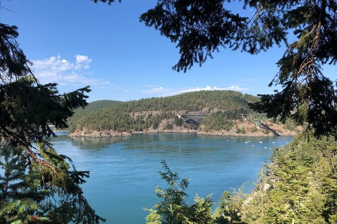 Tree Canopy Climbing on Lopez Island - Who should book this climb?
