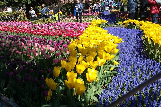 Tulip Festival and Skagit Valley Tour - Key points to know before booking