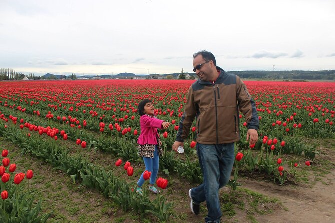 Tulip Festival at Skagit Valley ,La Conner and Deception Pass - Mount Vernon gives the morning a gentle start