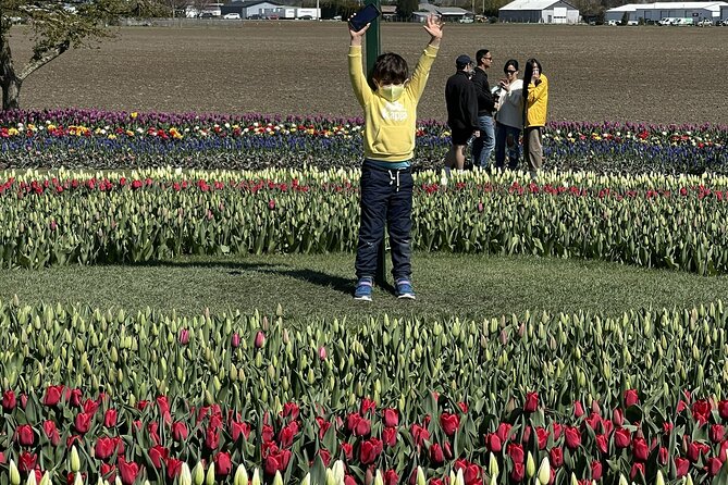 Tulip Festival in Skagit Valley Tour from Seattle - Is $145 a fair price?