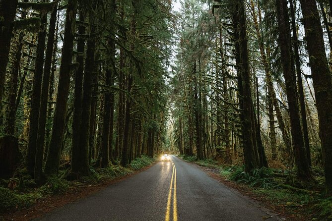 Twilight Forks Washington Tour - What $485 really covers