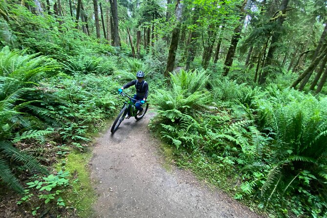 Viator Exclusive - Half Day Mountain Bike Tour from Seattle - Full-suspension bikes and protective gear