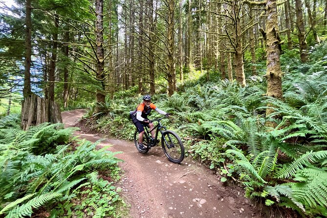 Viator Exclusive - Half Day Mountain Bike Tour from Seattle - Is $261.79 a fair price?