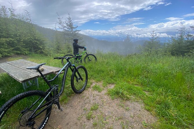 Viator Exclusive - Half Day Mountain Bike Tour from Seattle - Pickup details and practical planning