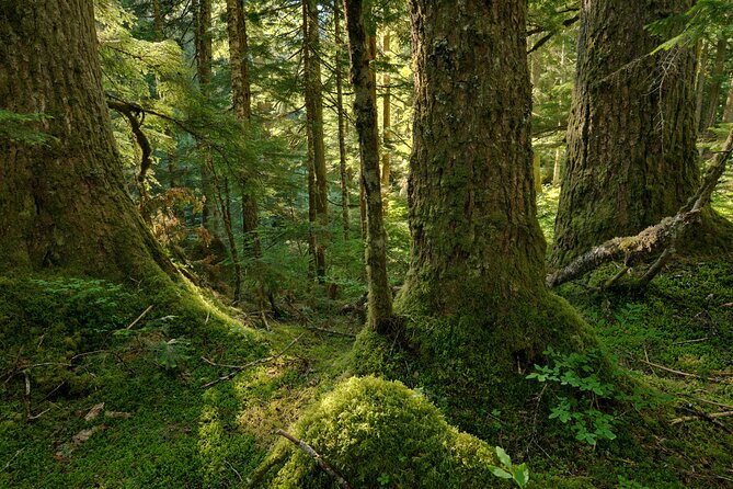 Visit Snoqualmie and Hike to Twin Falls (Transportation included) - Best Time, Clothing, and Trail Advice