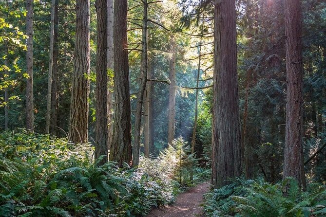 Visit Snoqualmie and Hike to Twin Falls (Transportation included) - Who Should Book This Morning Hike?