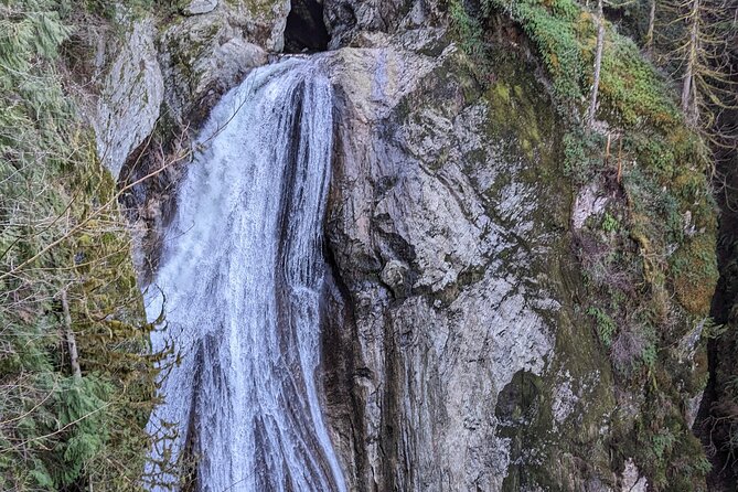 Visit Snoqualmie waterfall and an old forest (Transport Included) - Jonny makes the guided format worthwhile