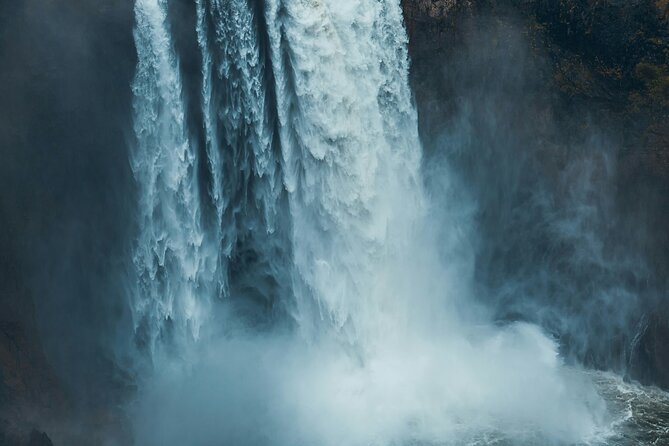 Visit Snoqualmie waterfall and an old forest (Transport Included) - Meeting point, timing, and cancellation
