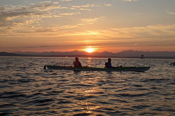 West Seattle Sunset Sea Kayak Tour - Wildlife near the Duwamish River