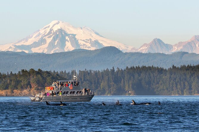Whale Watching + Deception Pass Tour from Seattle - Key points at a glance