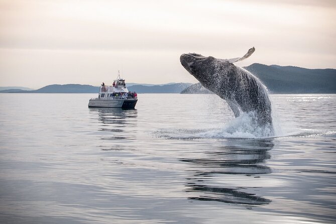 Whale Watching + Deception Pass Tour from Seattle - Deception Pass with time for shore and forest
