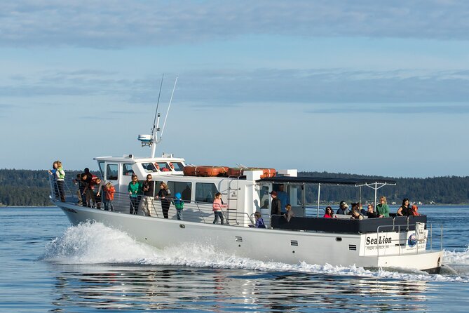 Whale Watching from Friday Harbor - Why Friday Harbor is a strong starting point