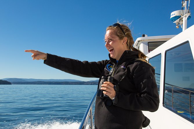 Whale Watching from Friday Harbor - What the four-hour route feels like
