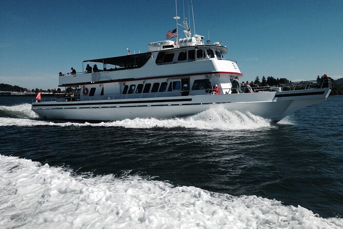 Whale Watching from Friday Harbor - What to wear and bring
