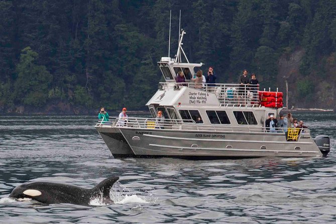 Whale Watching Tour from Anacortes - Leaving Skyline Way for the open water