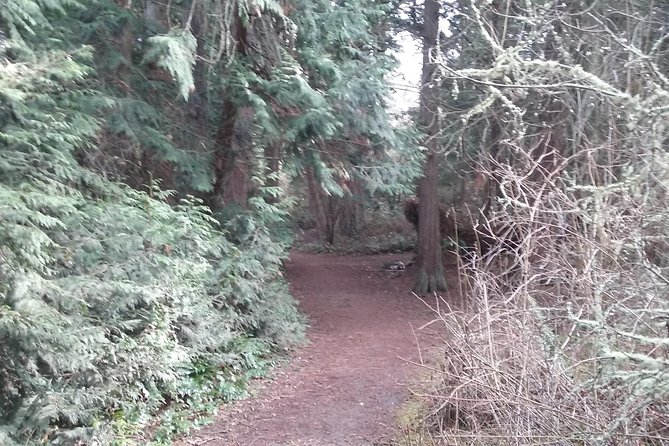 Whidbey Island Deception Pass Private SUV Tour - Fort Casey and its pre-World War I defenses