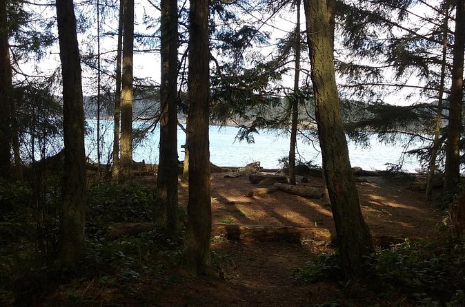 Whidbey Island Deception Pass Private SUV Tour - Who should choose this Whidbey Island tour