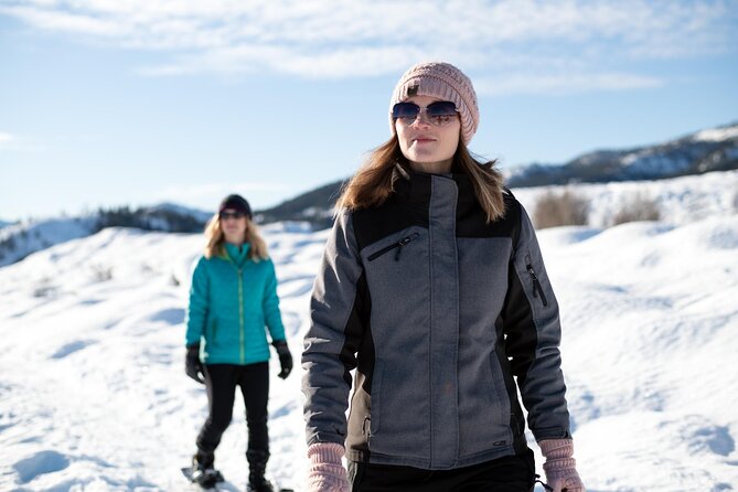 Winter Day Tour to Longmire on Mount Rainier from Seattle - Four hours around Longmire