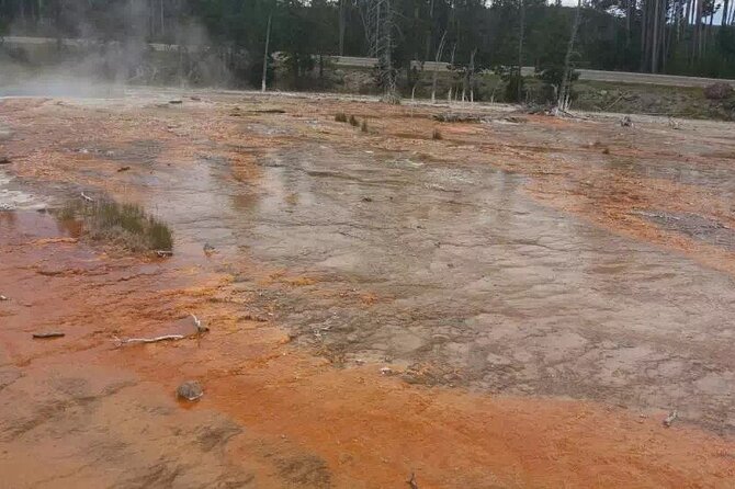 Yellowstone Grand Teton and Coeur d’Alene 5-Day Tour from Seattle - Key points at a glance